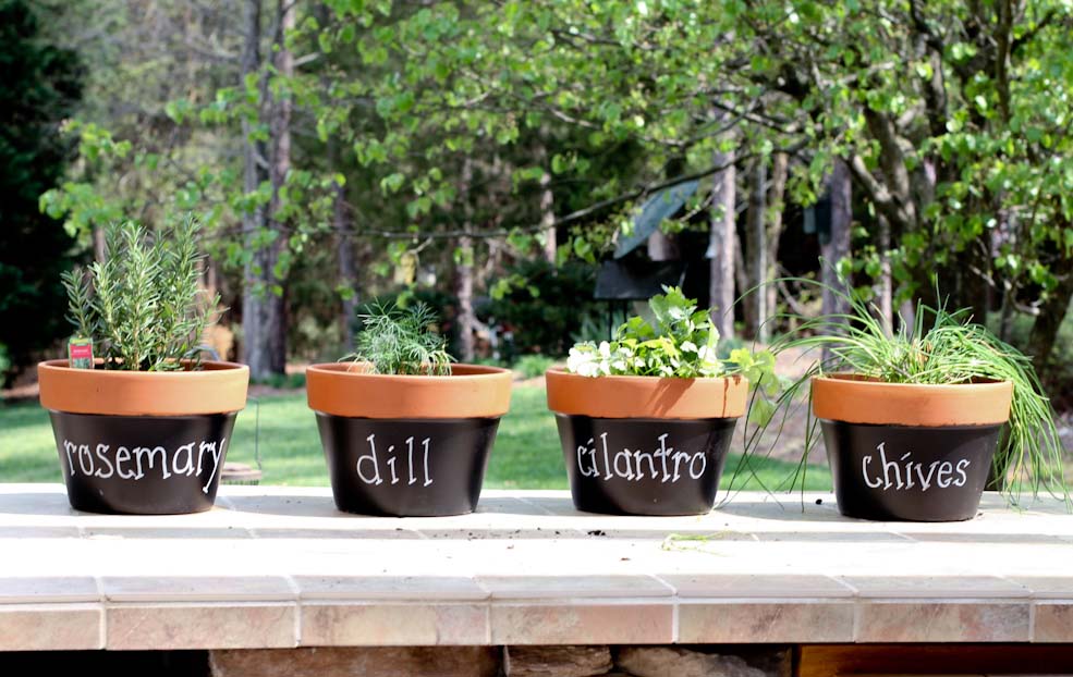 Unique Terracotta Herb Pots Unique Terracotta Herb Pots