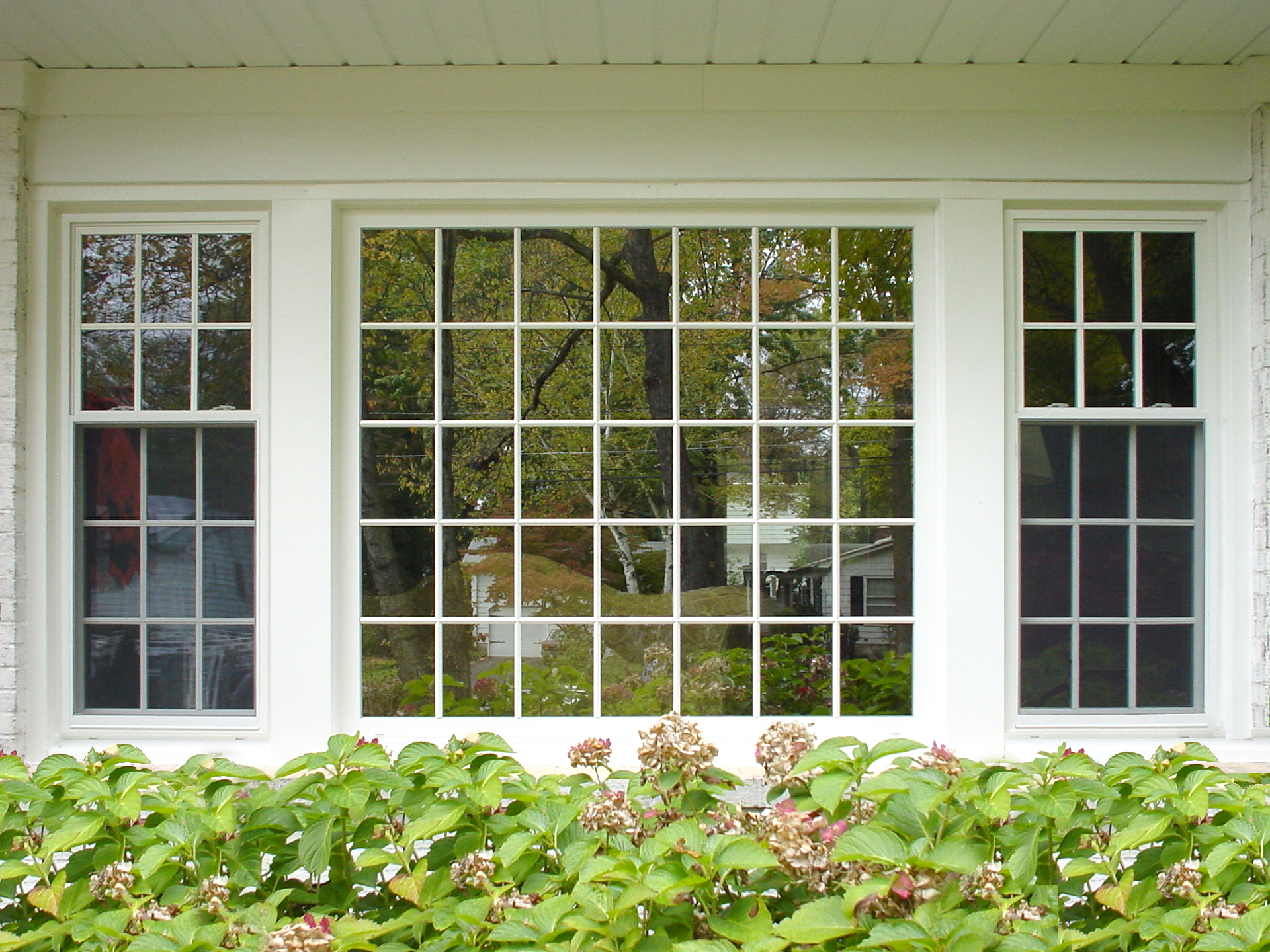 Energy Efficient Replacement Windows